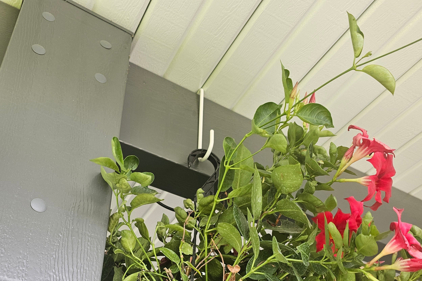 3x8 - Solid Cover Non Insulated Beam Hooks - Single Hook